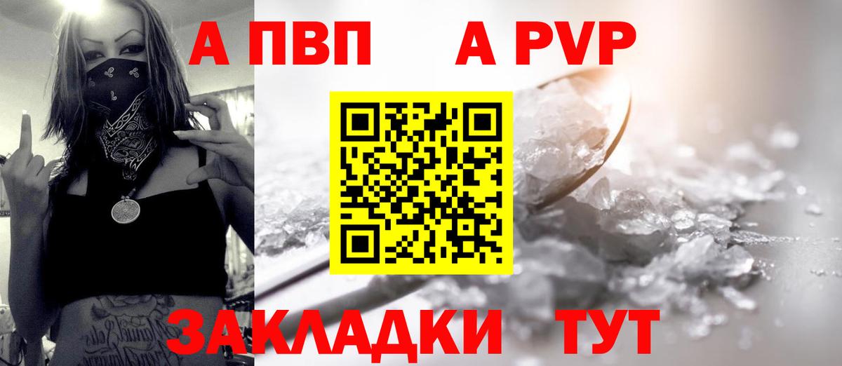 Альфа ПВП СК Ставрополь