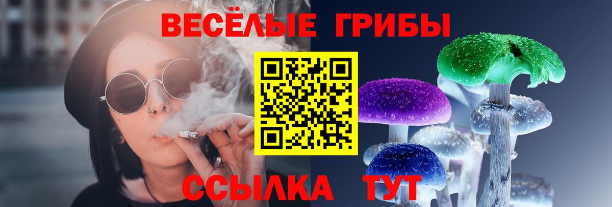 Псилоцибиновые грибы мицелий  Псилоцибиновые грибы Psilocybine cubensis  Вход с VPN  Ставрополь 